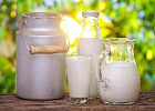 Объем реализации молока в сельхозорганизациях вырос на 3,9%